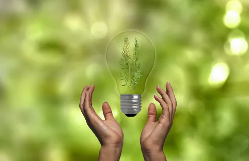 Projet GreenPeace